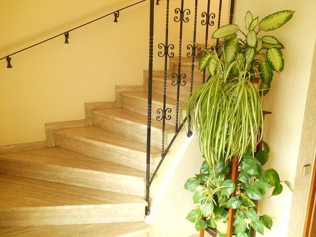 Cologne Homestay Homestay *